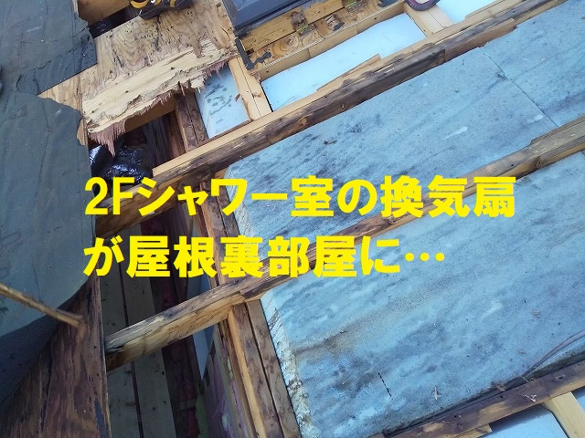 2Fシャワー室の換気扇が屋根裏部屋に…